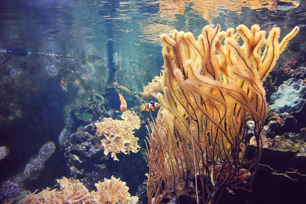 london aquarium