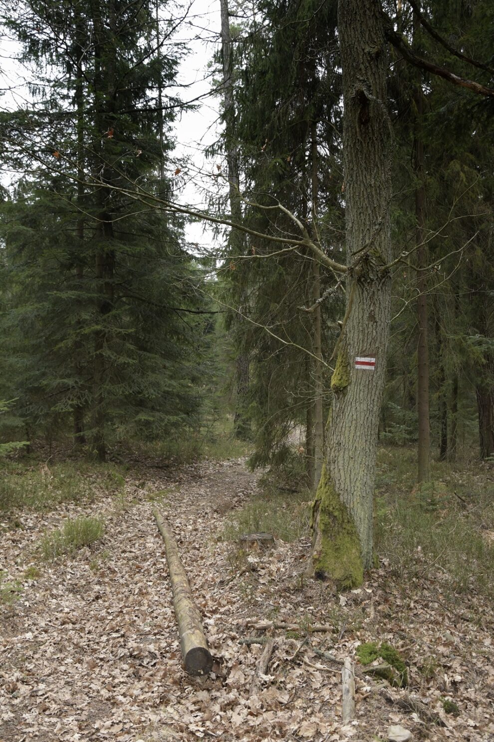 Przez Piek O Dalejowskie Do Bramy Piekielnej Pomnik Przyrody