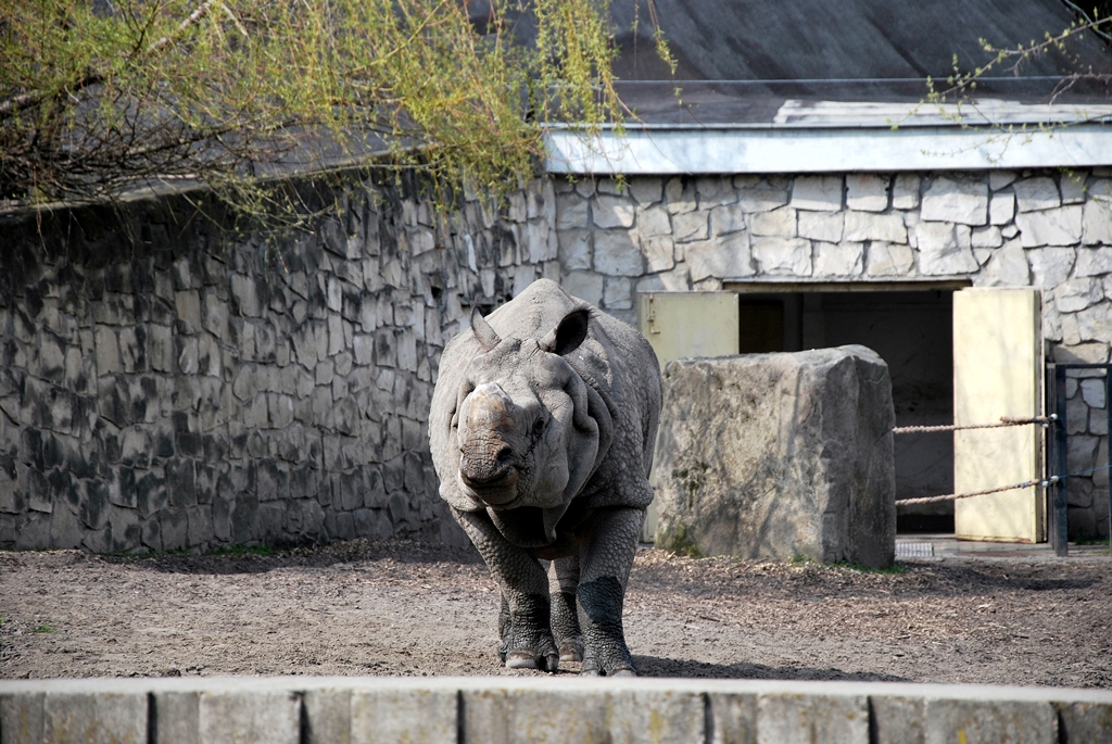 warszawa zoo
