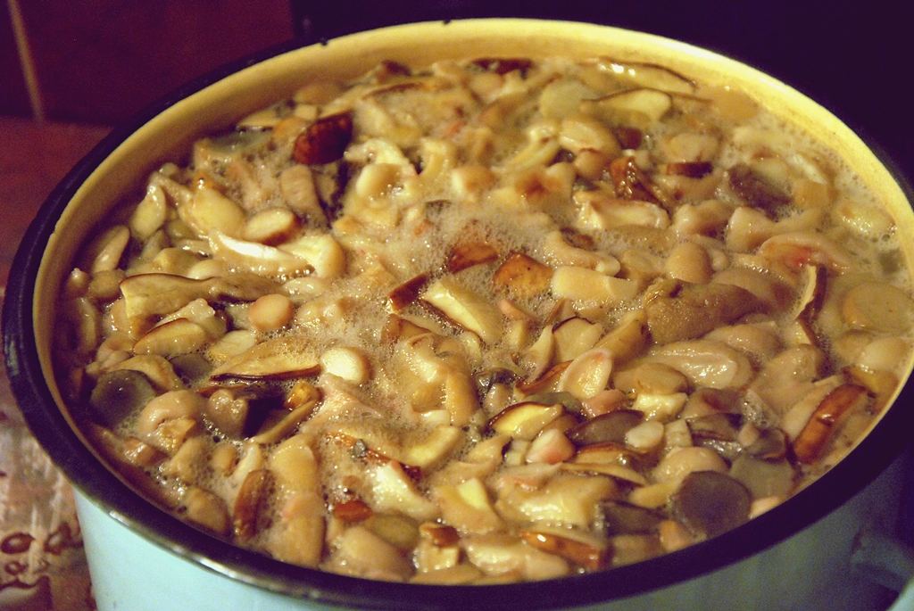 zupa grzybowa ze świeżych grzybów