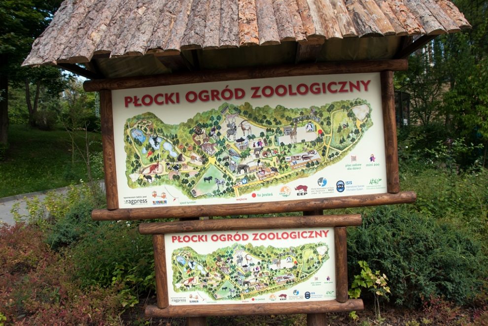 zoo płock