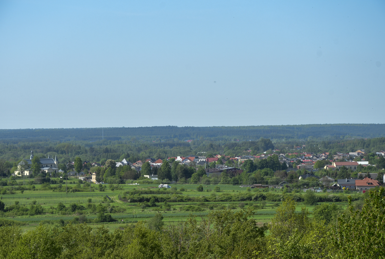 Panorama na pobliskie miasteczko, widok z wieży widokowej w Daleszycach.