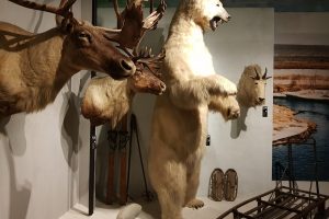 muzeum łowiectwa i jeździectwa