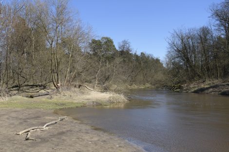 mazowsze zdjęcia