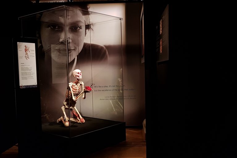 Body Worlds wystawa ludzkich ciał od poczęcia człowieka, aż po jego