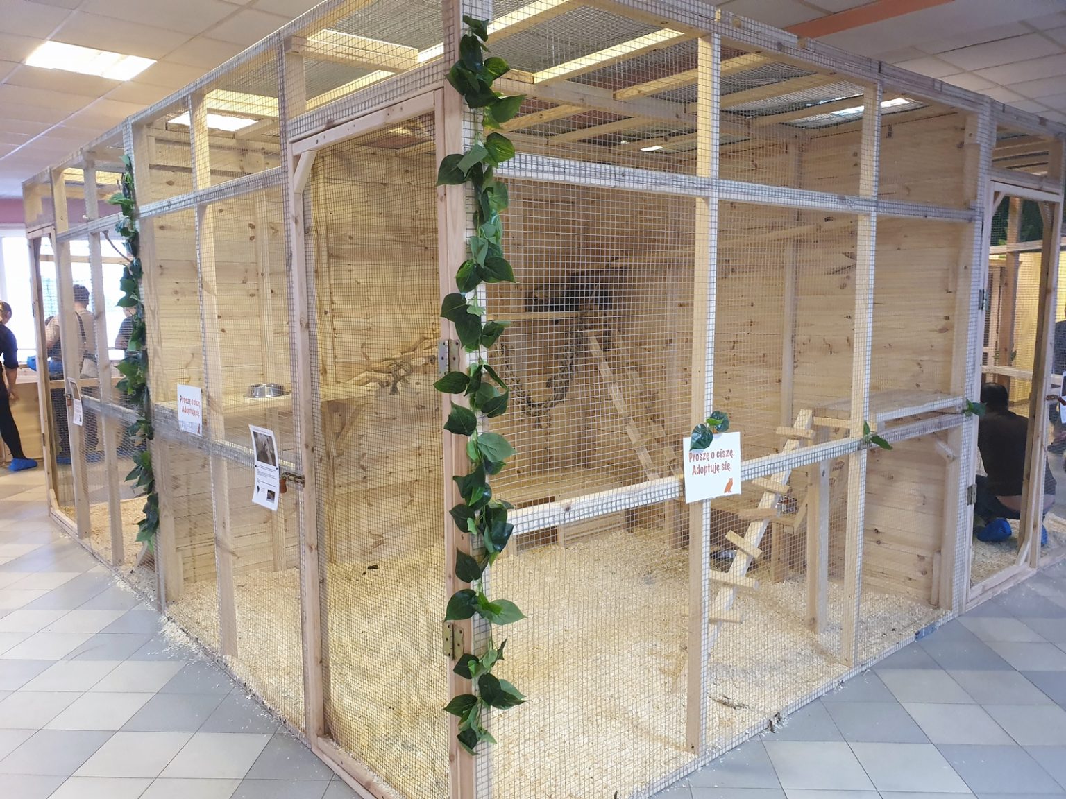 Mini Zoo Warszawa tutaj nawiążesz bezpośredni kontakt ze zwierzętami