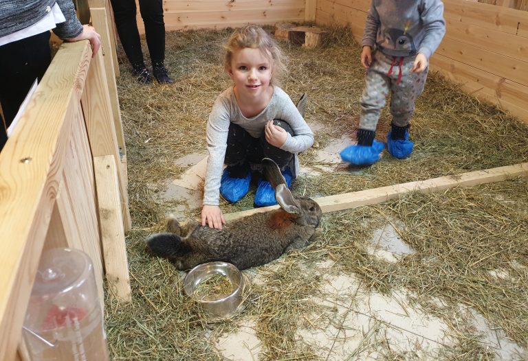 Mini Zoo Warszawa tutaj nawiążesz bezpośredni kontakt ze zwierzętami