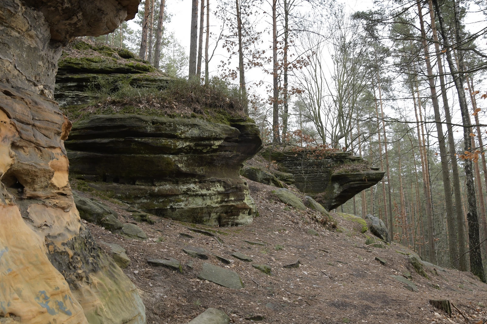 Widok z boku na płaskie skały naznaczone poziomymi przecięciami w rezerwacie Skałki Piekło pod Niekłaniem.