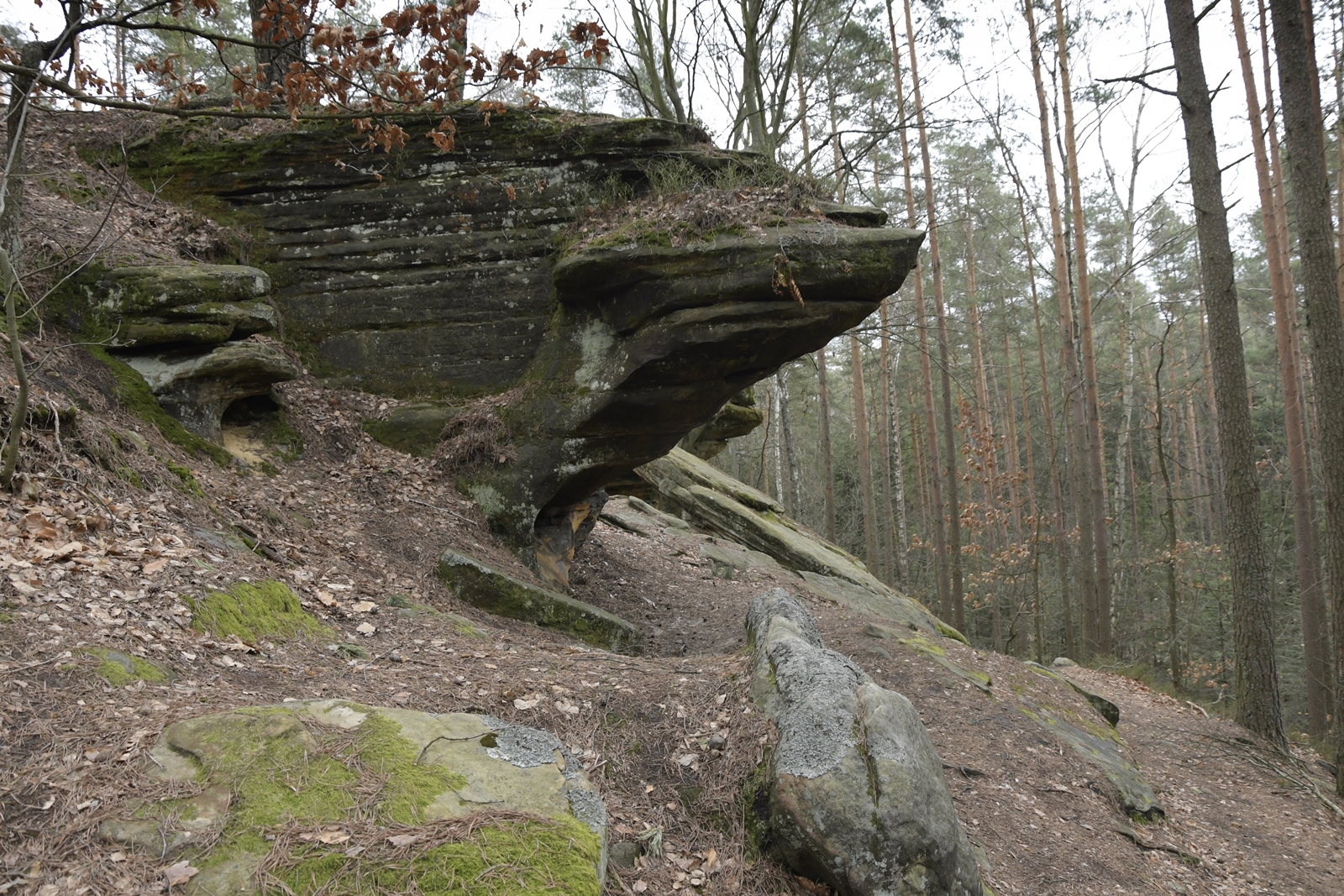 Wysunięta skała w kształcie trójkąta, w rezerwacie Skałki Piekło pod Niekłaniem.