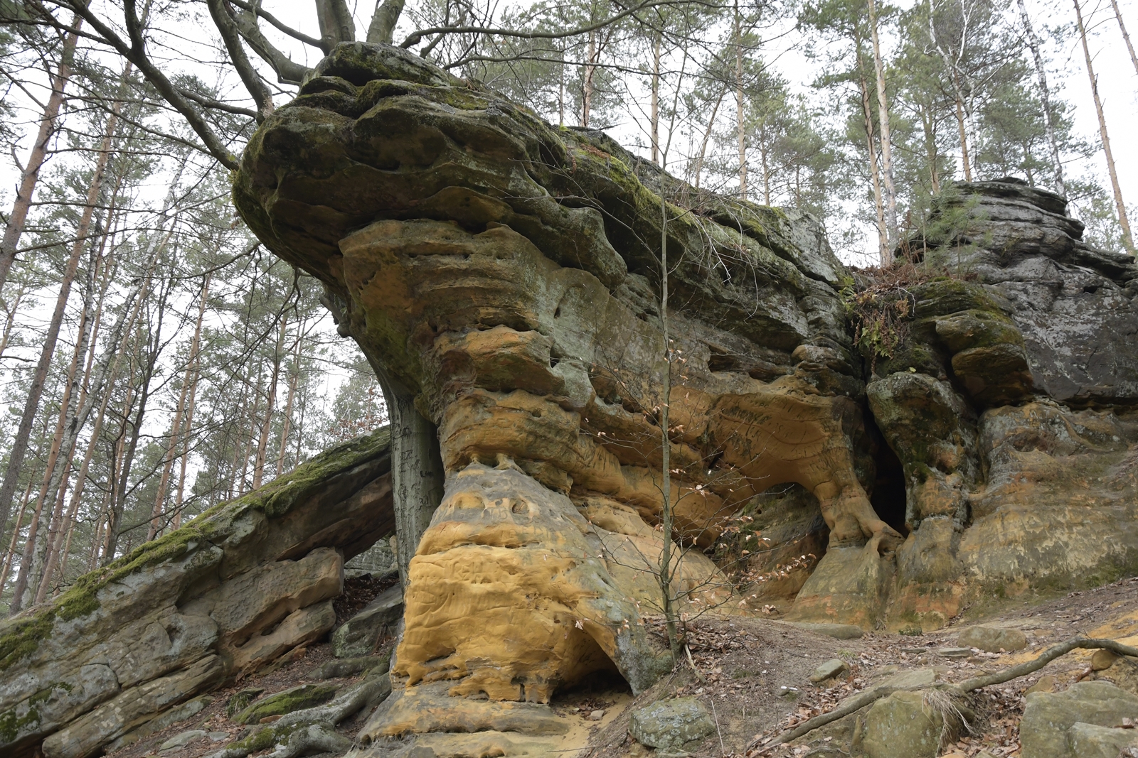 Pomarańczowo-zielona skała widoczna od dołu, o płaskiej górze - w rezerwacie przyrody Skałki Piekło pod Niekłaniem.