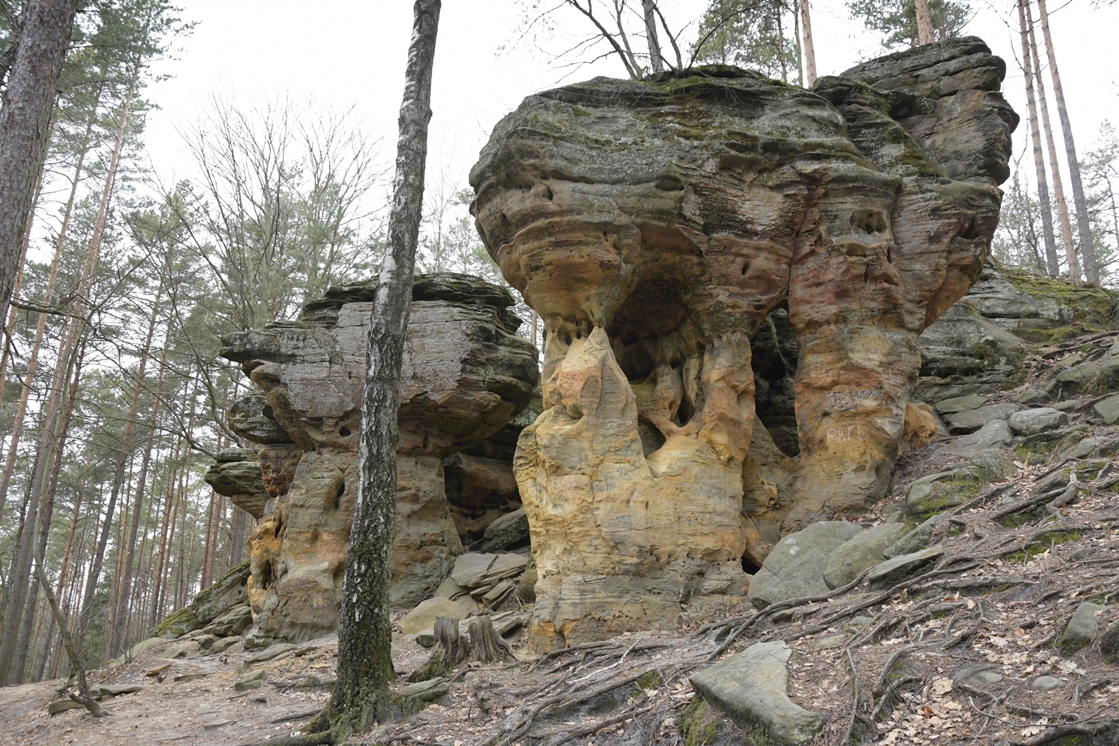 Dwie kamienne skały wyglądają jak olbrzymie grzyby.