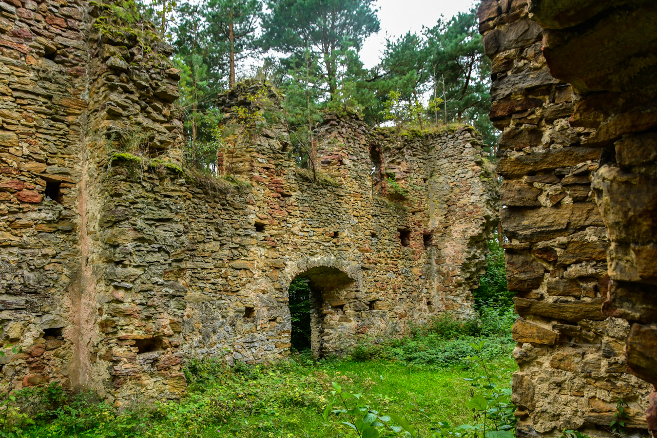 Fragmenty murów ruiny świętokrzyskiej przedstawiającej dawny kościół w Gruszczynie.