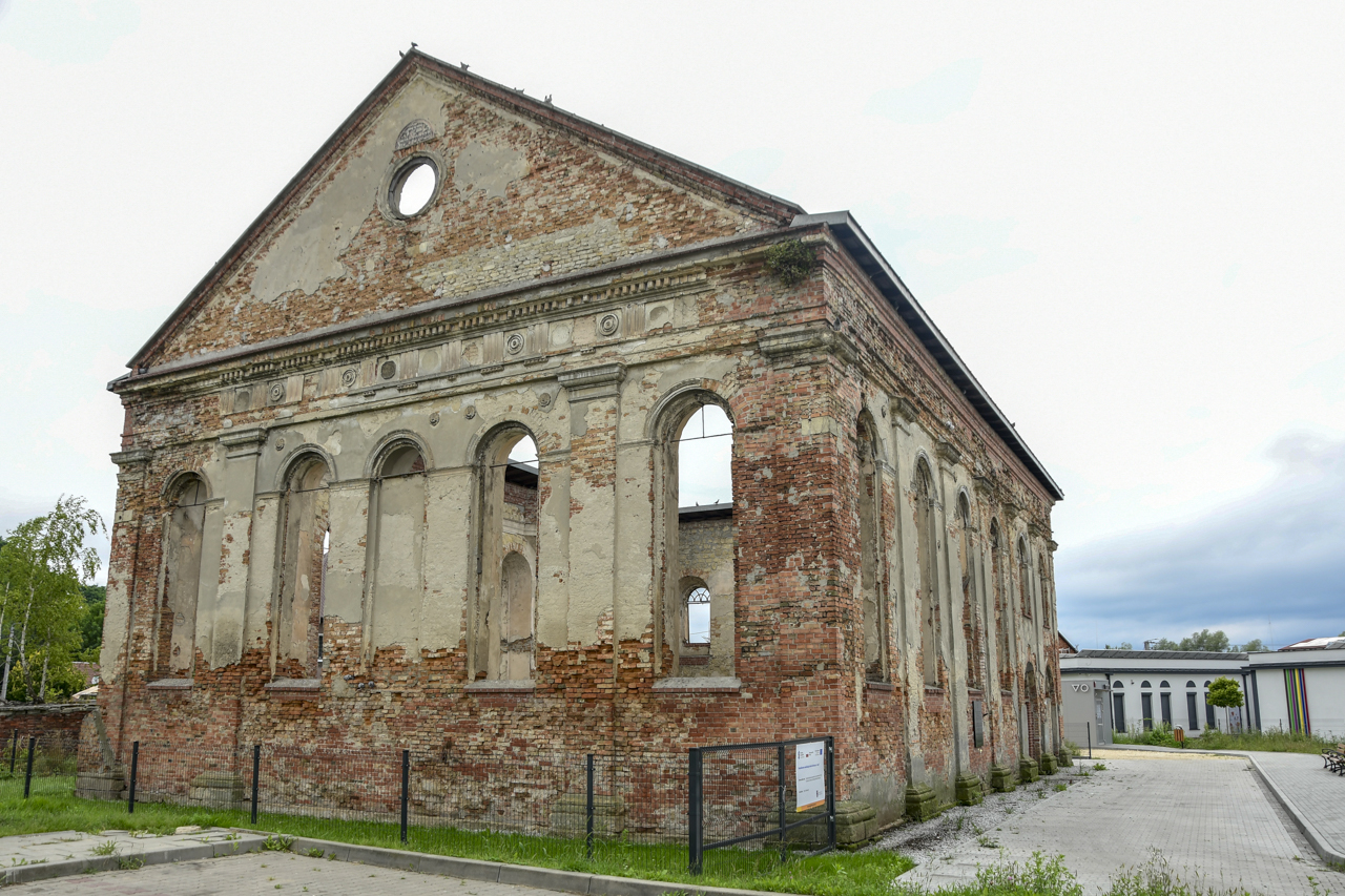 Ruiny synagogi w Działoszycach - budynek nie ma dachu.