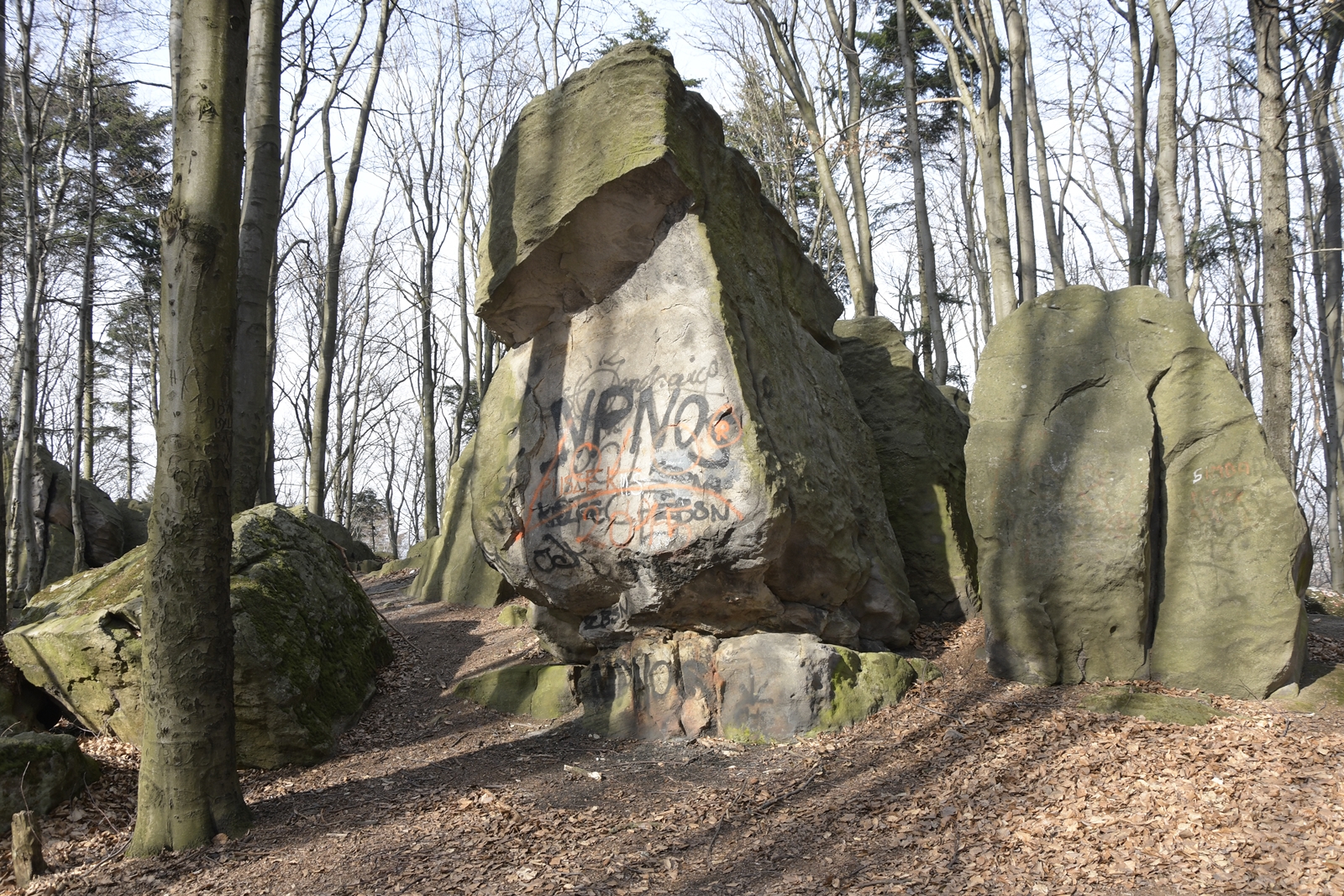 Cztery największe skały na Bukowej Górze, z najwyższą skałą pokrytą brzydkim grafitti.