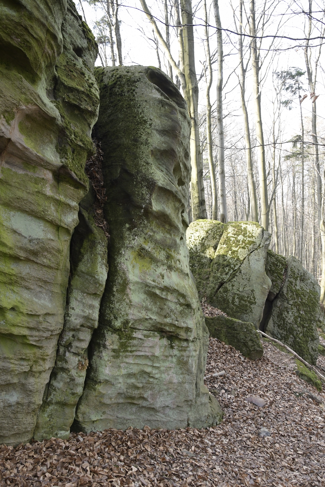Wysoka na 2-3 metry skała, poprzecianana poziomymi spękaniami, pokryta mchem.