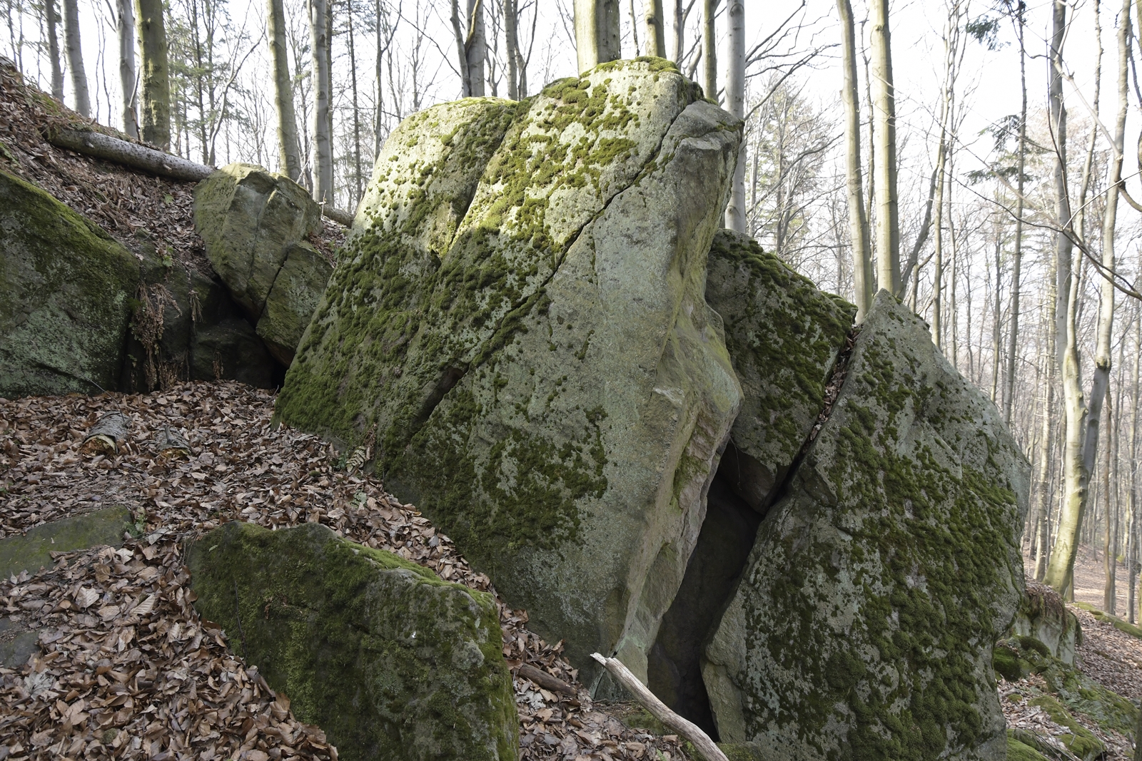 Zbliżenie na większą skałę w kolorze zielonkawym, pokrytą mchem w Bukowej Górze.