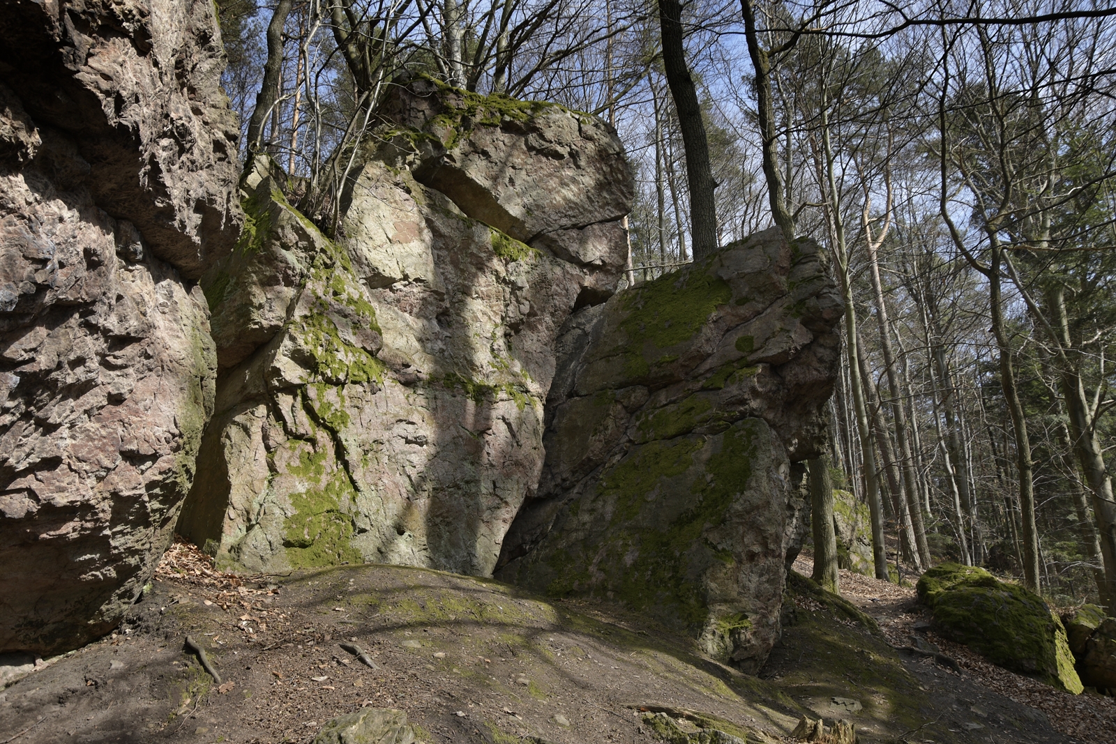 Zbliżenie na wyższe skały w rezerwacie Kamień Michniowski, w oddali mniejsze głazy.