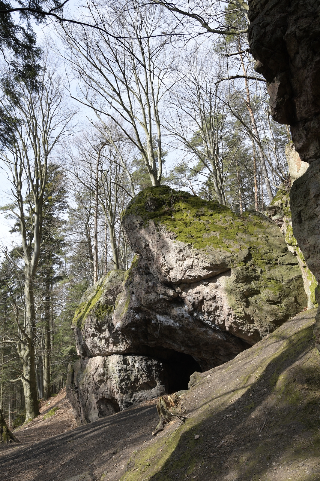 Skałki Kamień Michniowski są pokryte mchem i porostami.