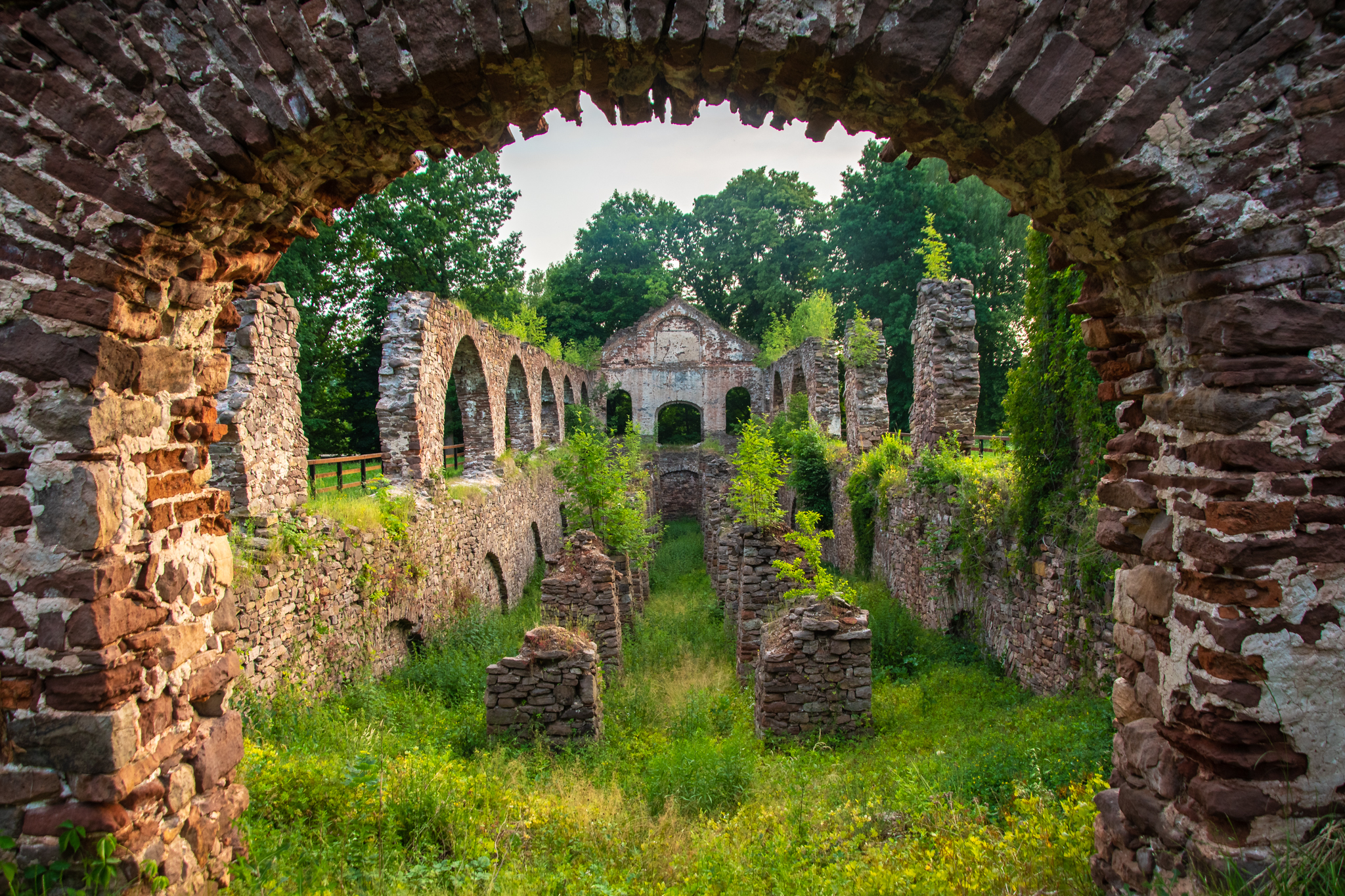 Ruiny Zakłądu Wielkopiecowego w Bobrzy z zarastającą trawą.