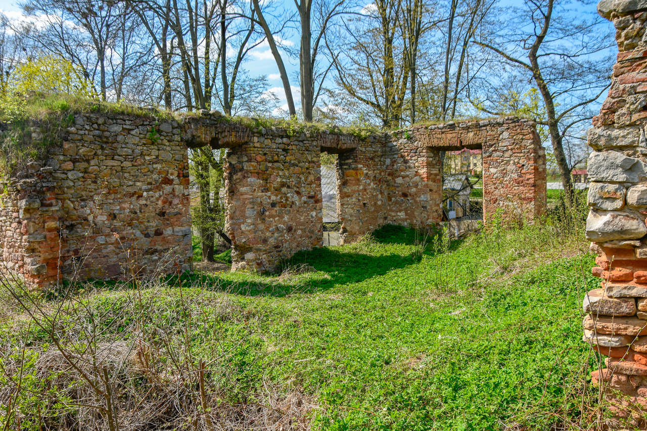 Widok na niewielkie pozostałości ścian ruiny świętokrzyskiej w Fałkowie.
