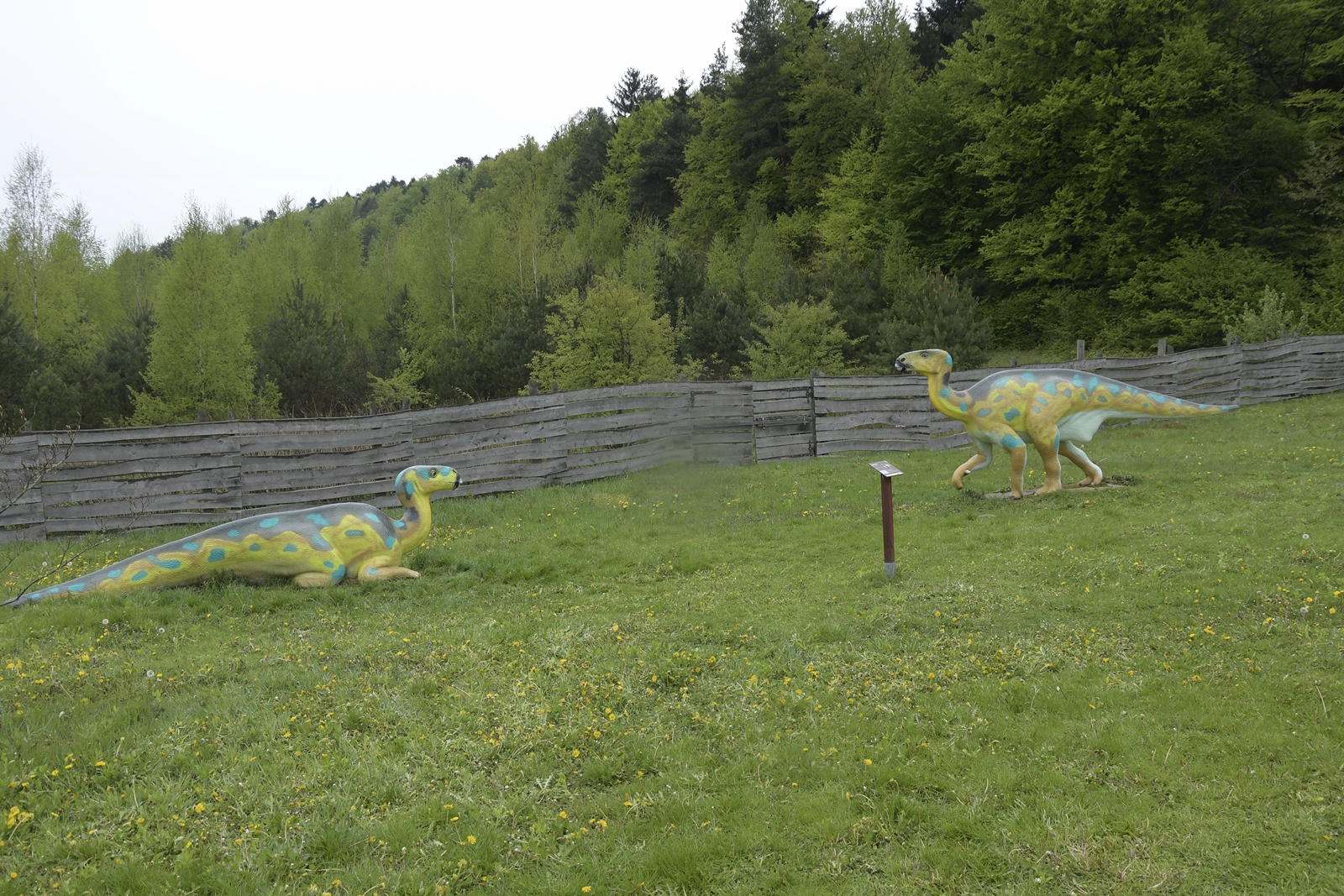dinozaury krasnobród