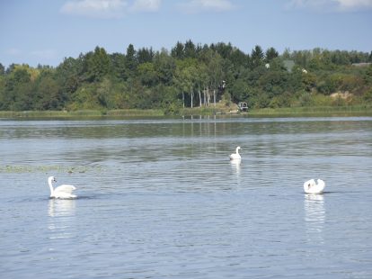 plaża w wieliszewie