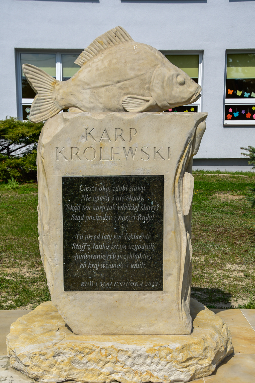 Pomnik Karpia Królewskiego w Rudzie Malenieckiej.