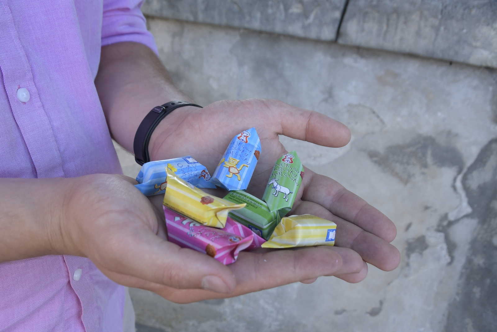 Dłonie męskie trzymające kolorowe krówki opatowskie - atrakcję Opatowa nie tylko dla dzieci.