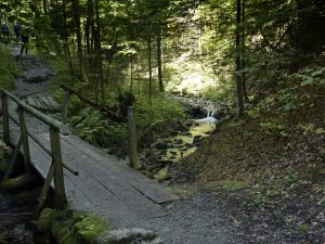 dolina za bramką