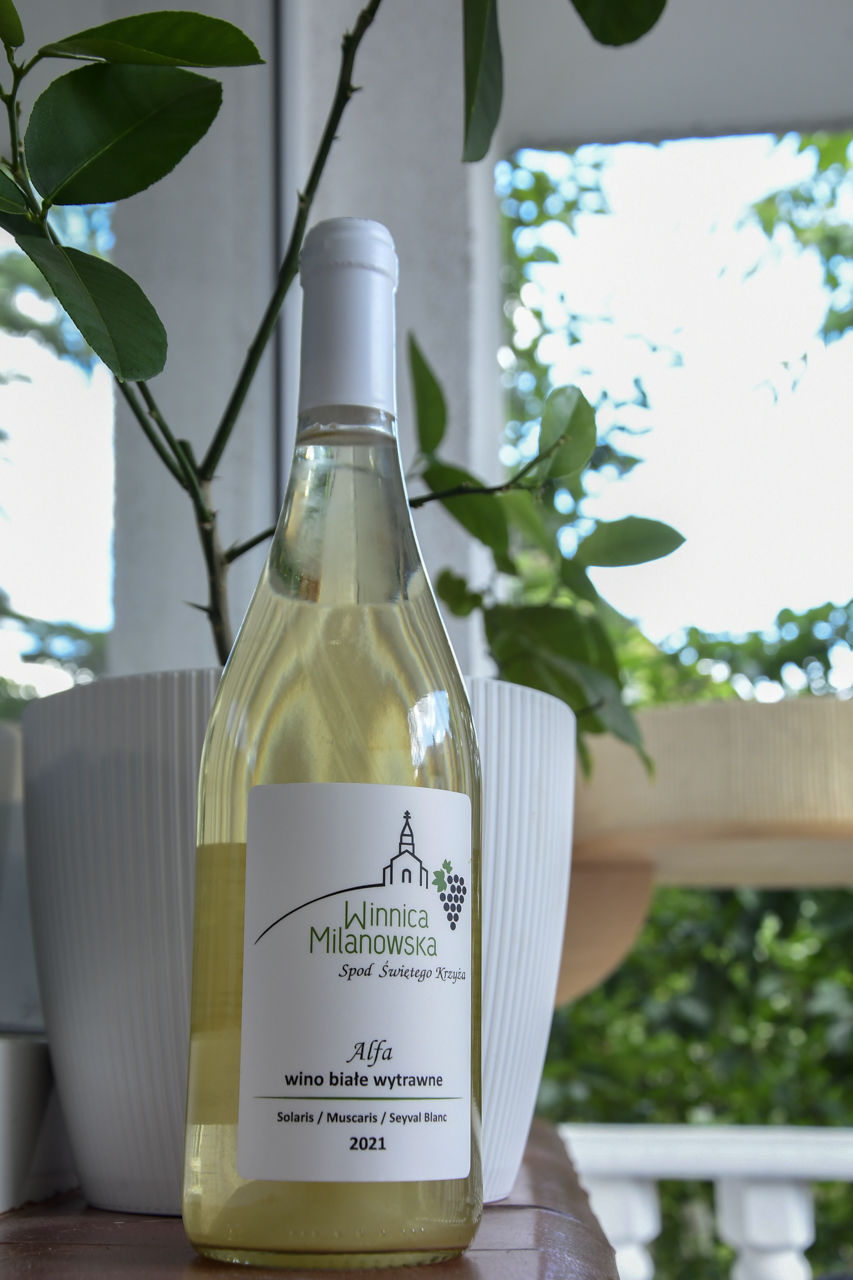 Wino białe wytrawne z Winnicy Milanowskiej.