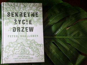 sekretne życie drzew