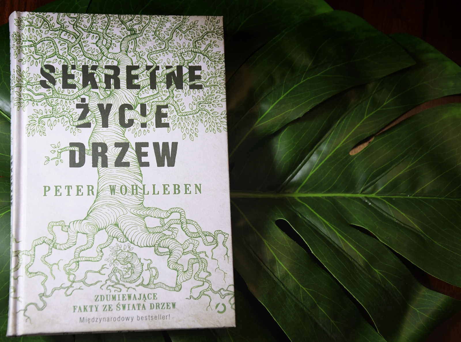 Peter Wohlleben Sekretne Zycie Drzew Sekretne Życie Drzew - po lekturze tej książki, będziesz patrzył na każde  drzewo inaczej | Skomplikowane