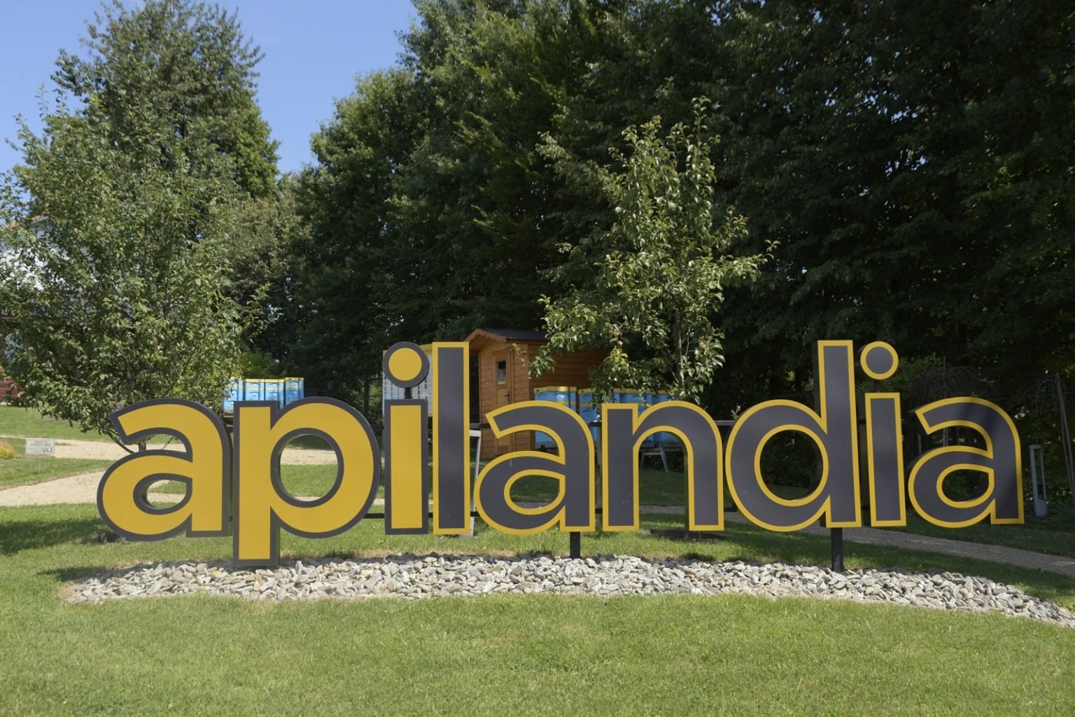 Apilandia zobacz ile pracy pszczoła musi włożyć w produkcję miodu