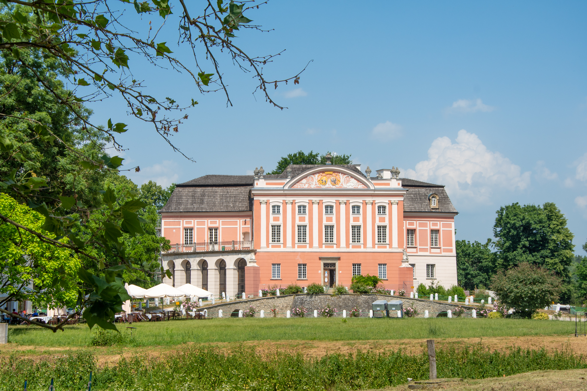 Łososiowy Pałac w Kurozwękach z obrastającymi go dookoła drzewami.