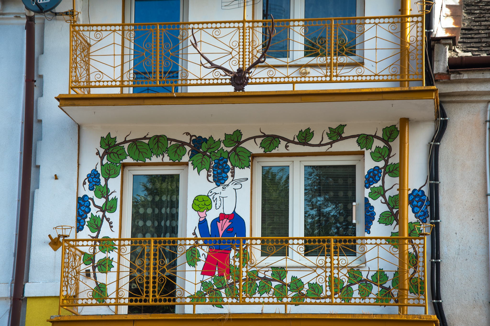 Koziołek Matołek namalowany na murze domu wokół balkonów, dookoła dorysowane winogrona.