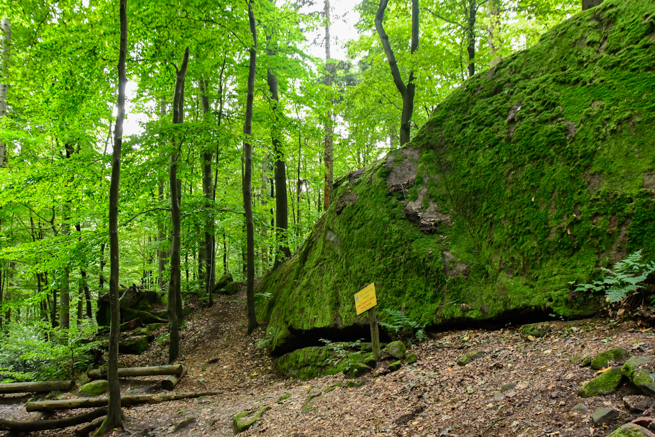 Fragment skały pokrytej mchem, w której znajduje się Kapliczka Świętej Rozalii, z otaczającymi teren liściastymi drzewami.