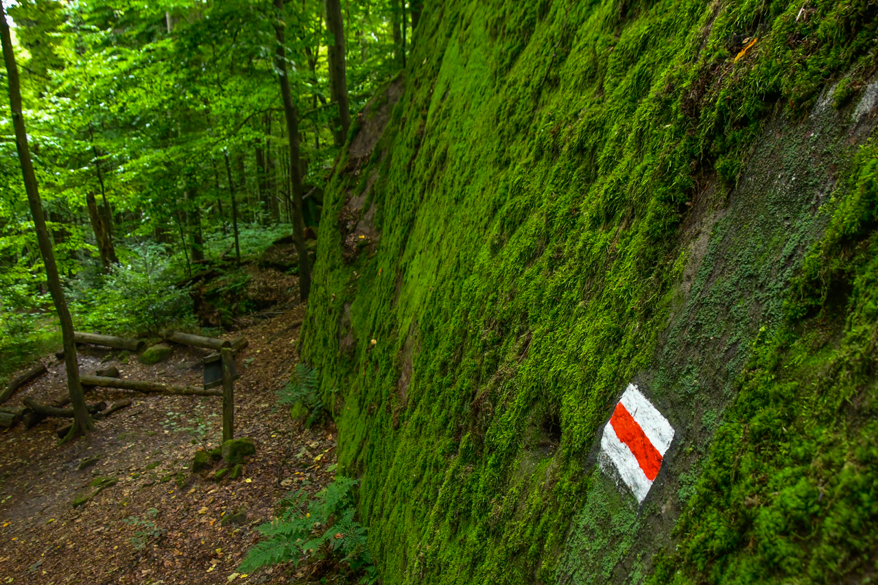 Zbliżenie na czerwone oznakowanie szlaku na dużej skale z Grotą Świętej Rozalii, pokrytej mchem.