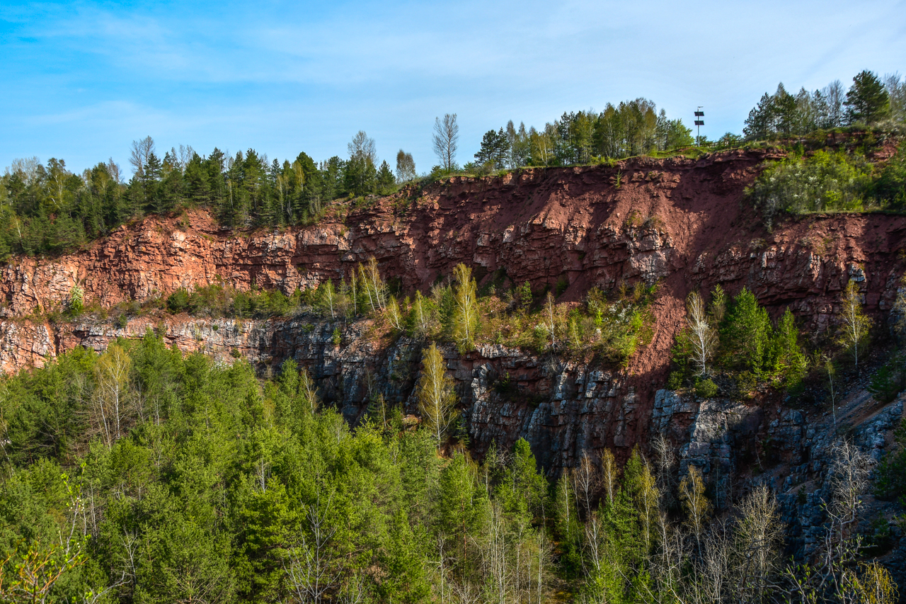 Widok na wysokie, górujące nad lasem skały będące pozostałością Kamieniołomu Jaworznia.