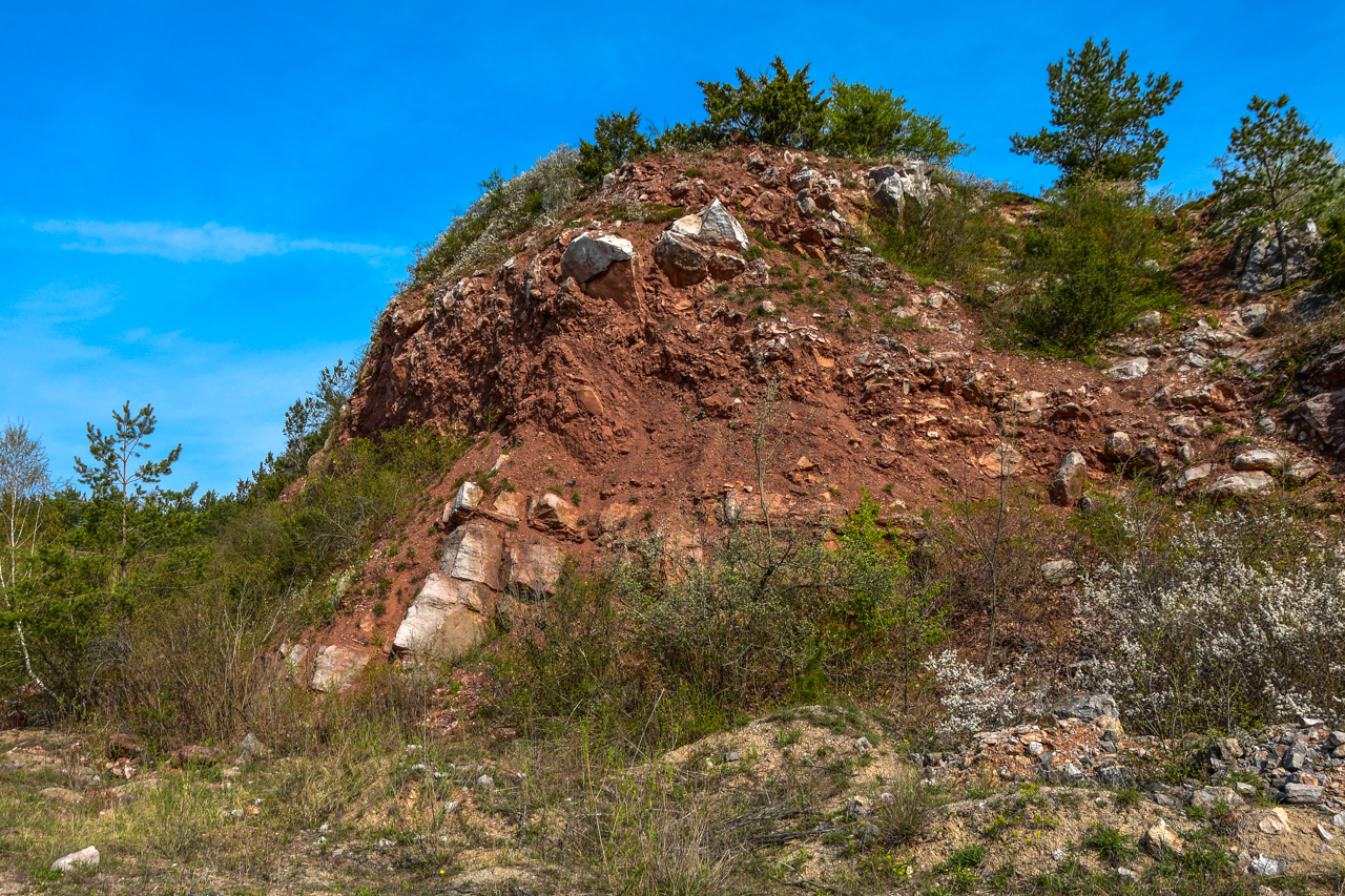 Czerwonobrunatna skała będąca pozostałością świętokrzyskiego kamieniołomu.