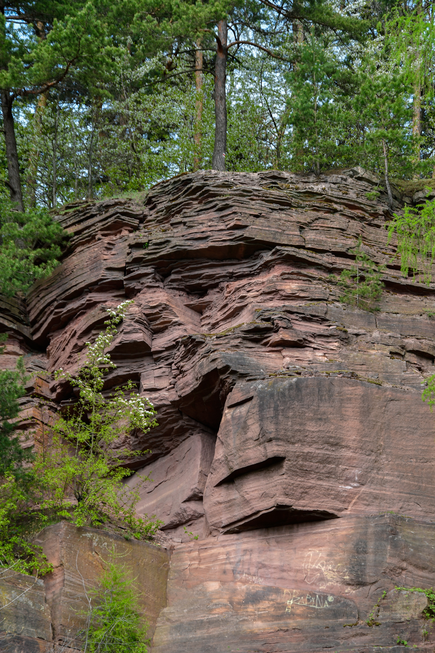 Zbliżenie na skałę w Kamieniołomie Ciosowa.