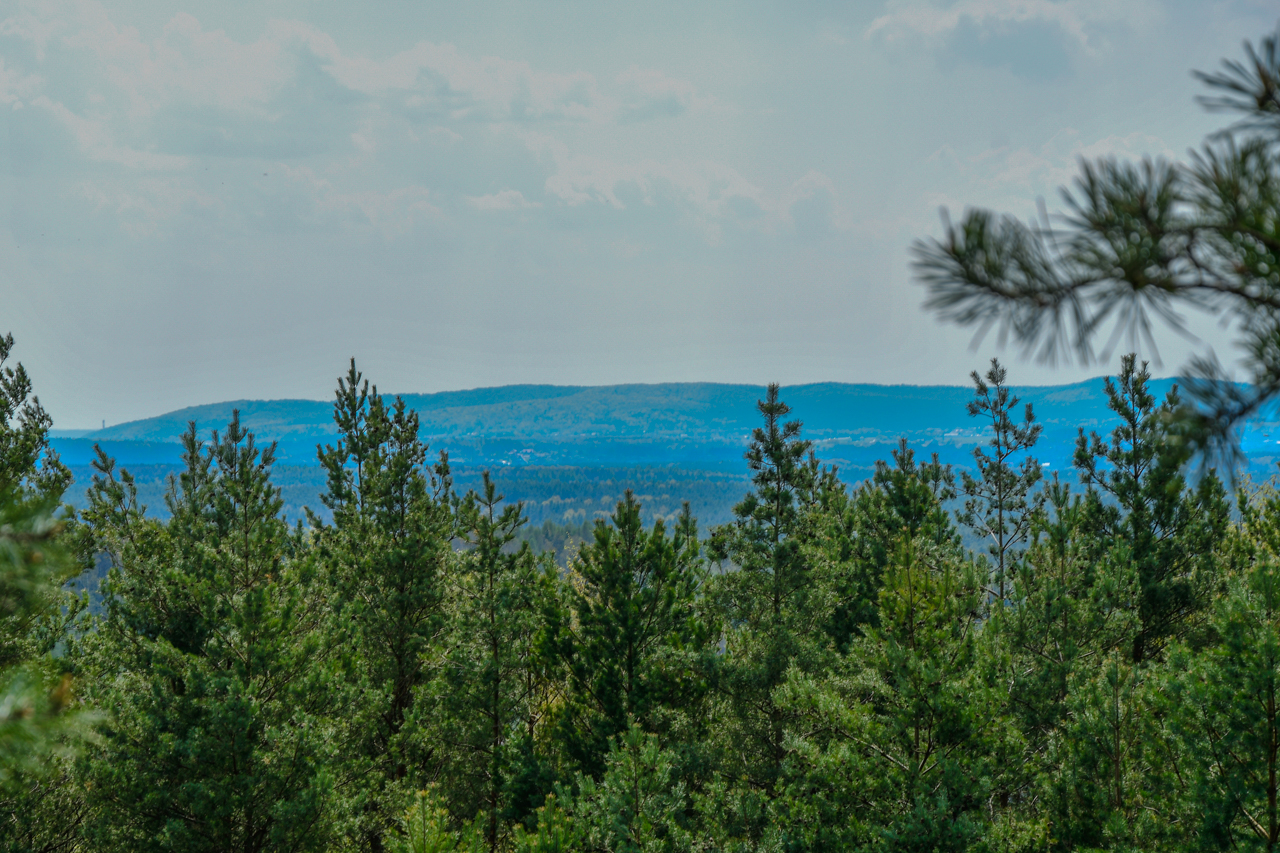 Widok ze świętokrzyskiego Kamieniołomu Ciosowa na pobliski las i Góry Świętokrzyskie.