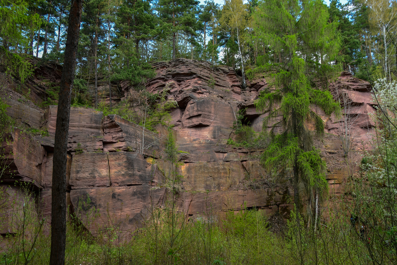 Czerwonawe skały Kamieniołomu Ciosowa z widocznymi, zarastającymi go drzewami.