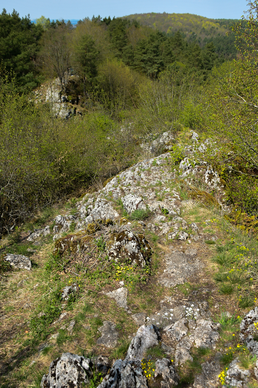 Szczyt grani Góry Zelejowej, pełen wapiennych skał.