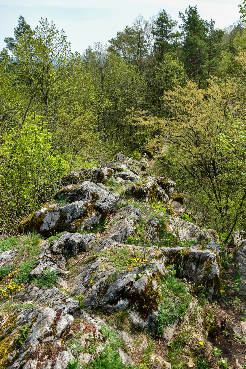 Grań Góry Zelejowej z ukazanymi skałami porośniętymi mchem i roślinami kserotermicznymi, tuż przy szczycie liściaste drzewa.