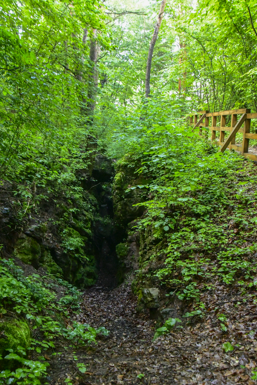 Wejście do dawnego kamieniołomu w Rezerwacie Moczydło.