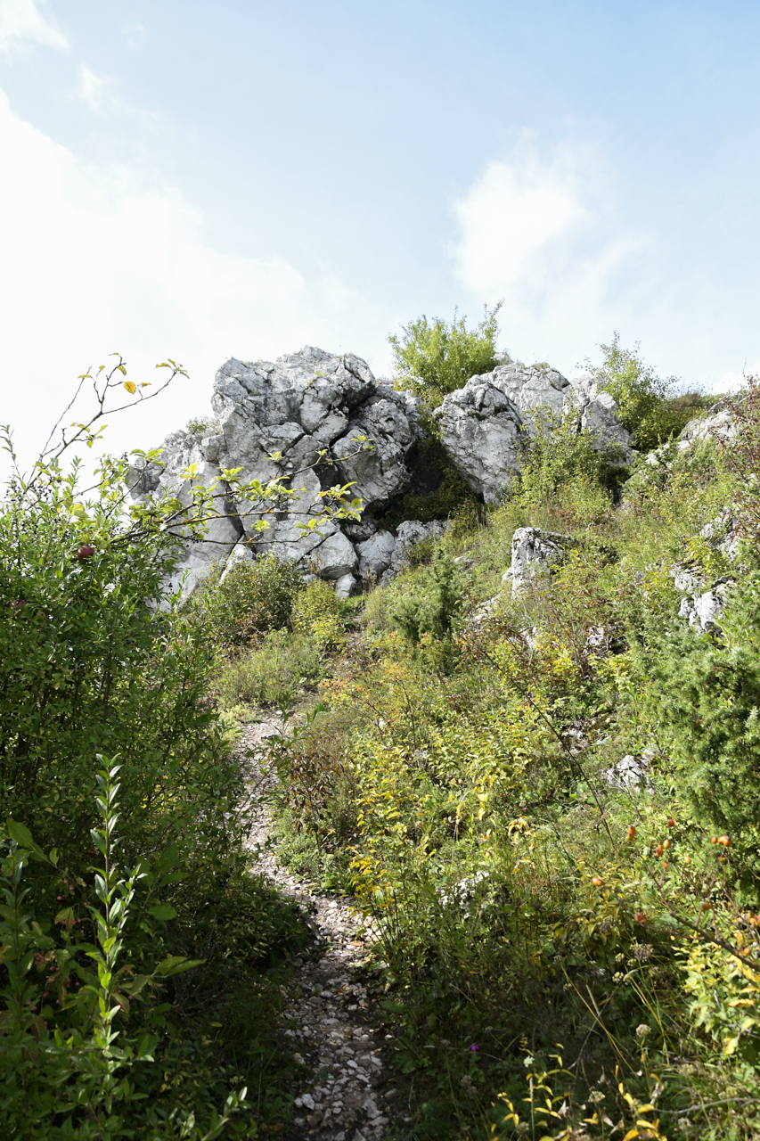 Ścieżka na szczyt Góry Miedzianki, z widocznymi skałkami.