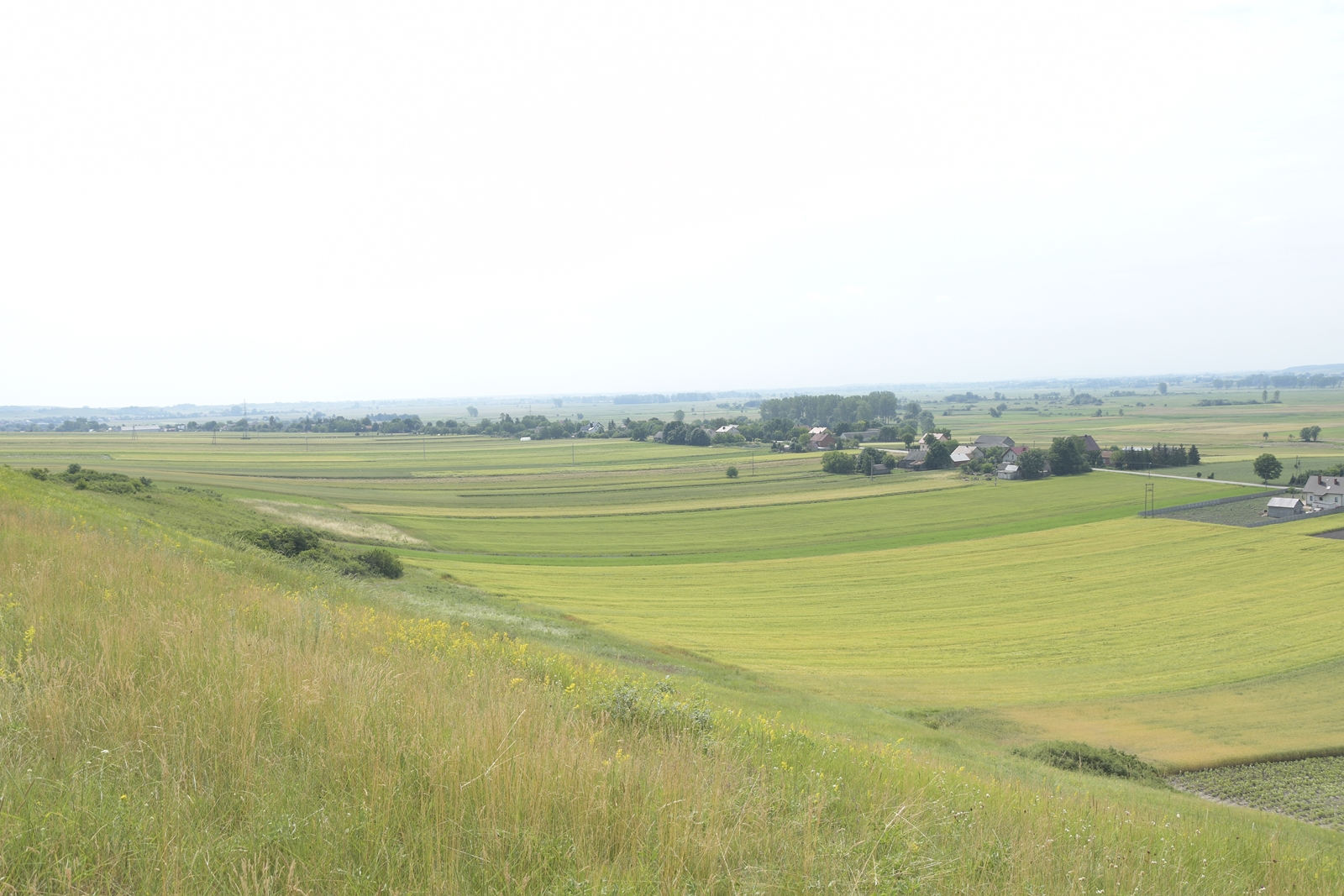 Widok z rezerwatu przyrody Krzyżanowice na tutejsze pola.