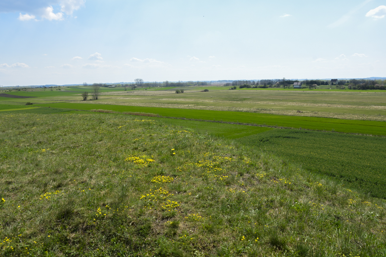 Widok na pola ze świętokrzyskiego rezerwatu przyrody Przęślin.