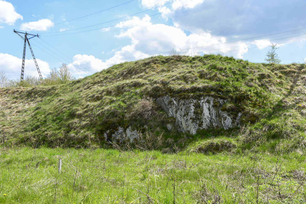 Skały pokryte trawą w świętokrzyskim rezerwacie przyrody Zimne Wody.