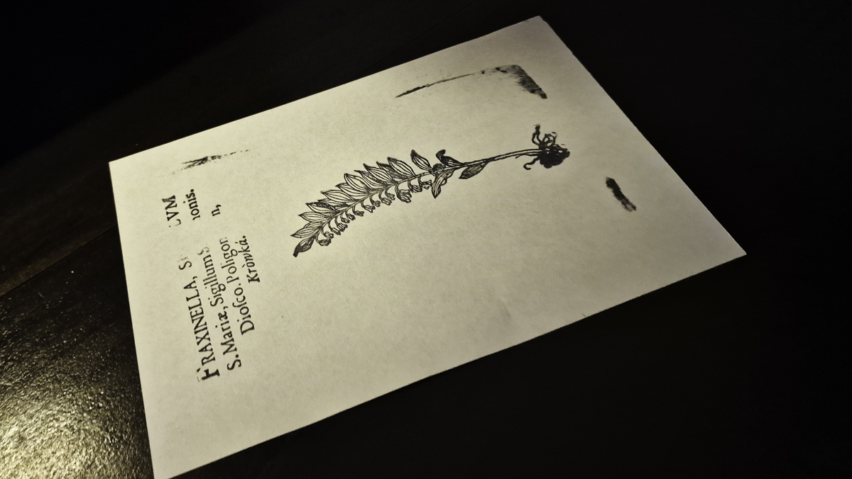Rycina odbita tuszem na kartce papieru - część wystawy w Muzeum Czary Napary.